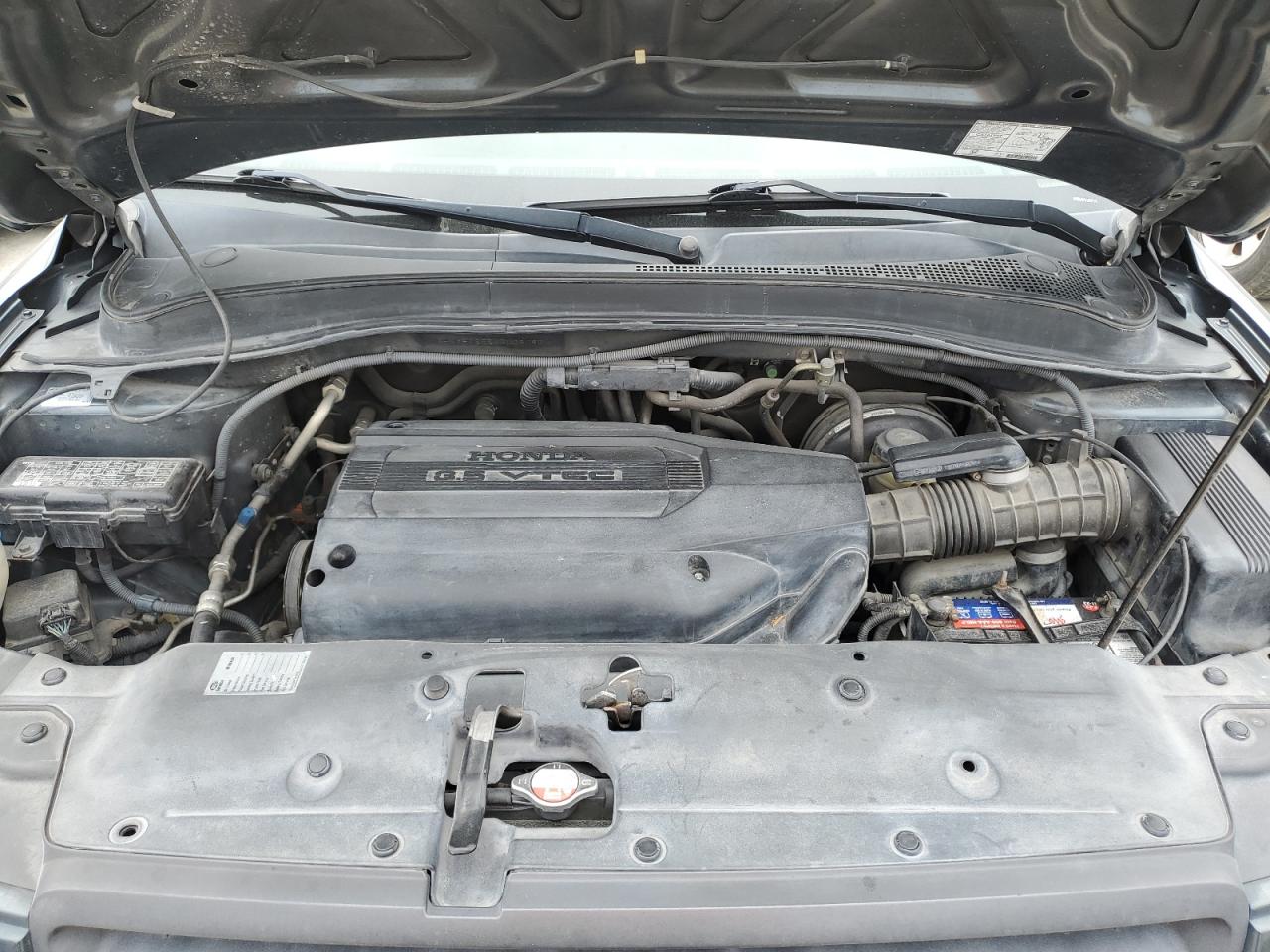 2004 Honda Pilot Exl VIN: 5FNYF18554B006097 Lot: 76870424