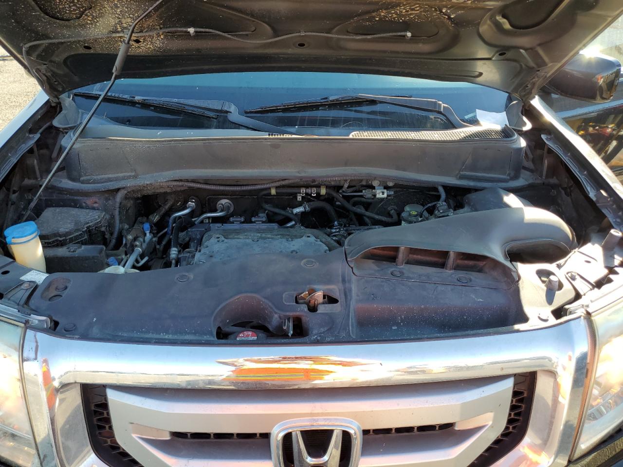 2010 Honda Pilot Exl VIN: 5FNYF4H53AB029259 Lot: 75284454