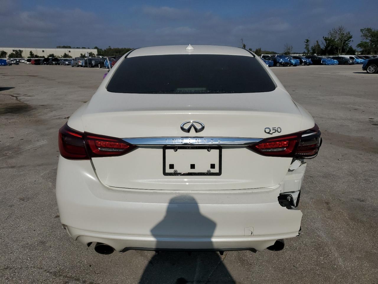 2019 Infiniti Q50 Luxe VIN: JN1EV7AP1KM515096 Lot: 75140244