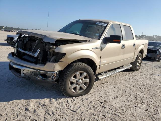  FORD F-150 2014 Золотий