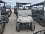 2021 Golf Cart Cart zu verkaufen in Riverview, FL - Water/Flood