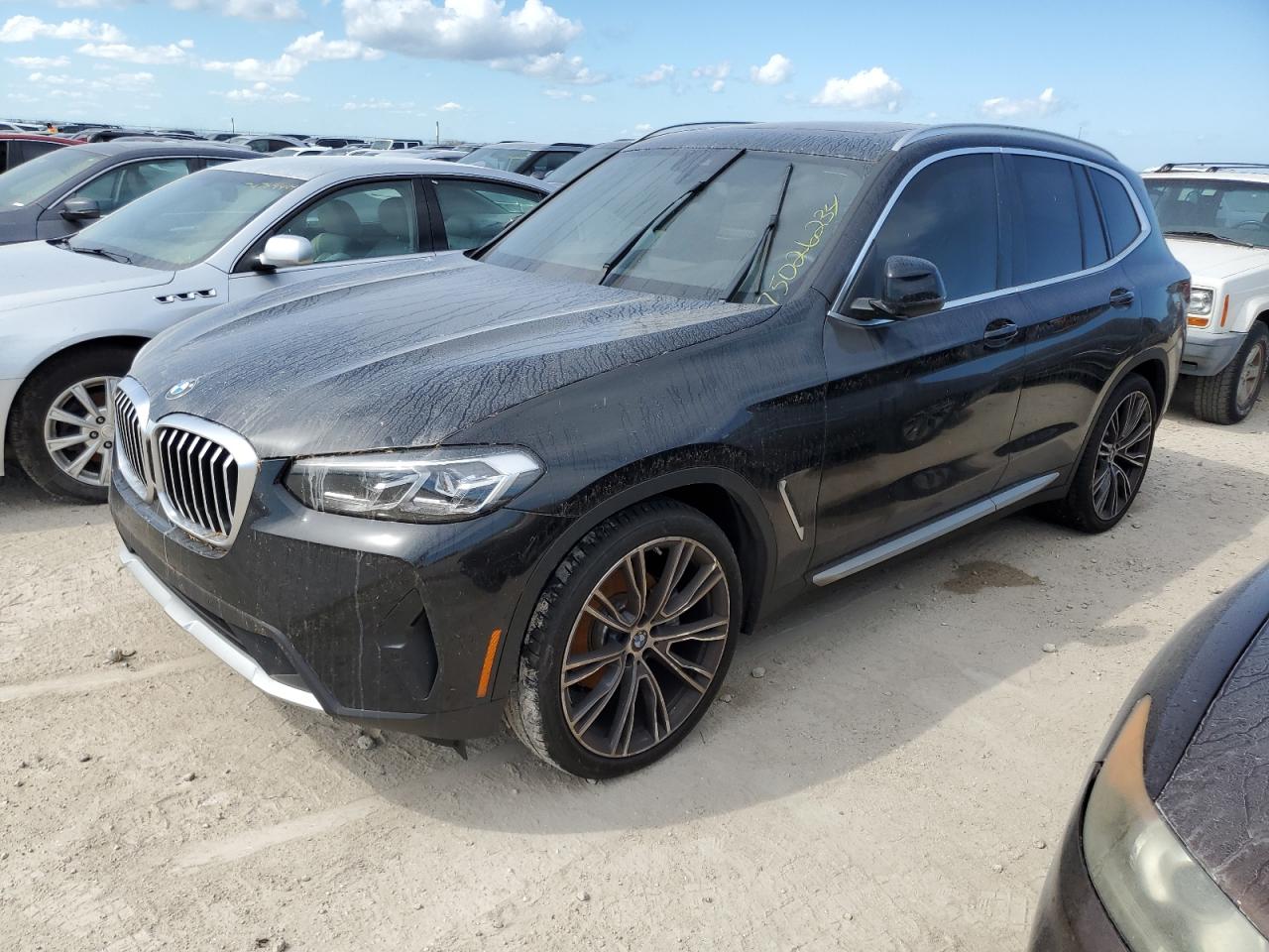 2023 BMW X3 Sdrive30I VIN: 5UX43DP03P9P89139 Lot: 75026234