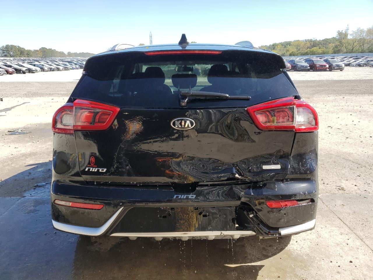 2017 Kia Niro Fe VIN: KNDCB3LC5H5079162 Lot: 75053594