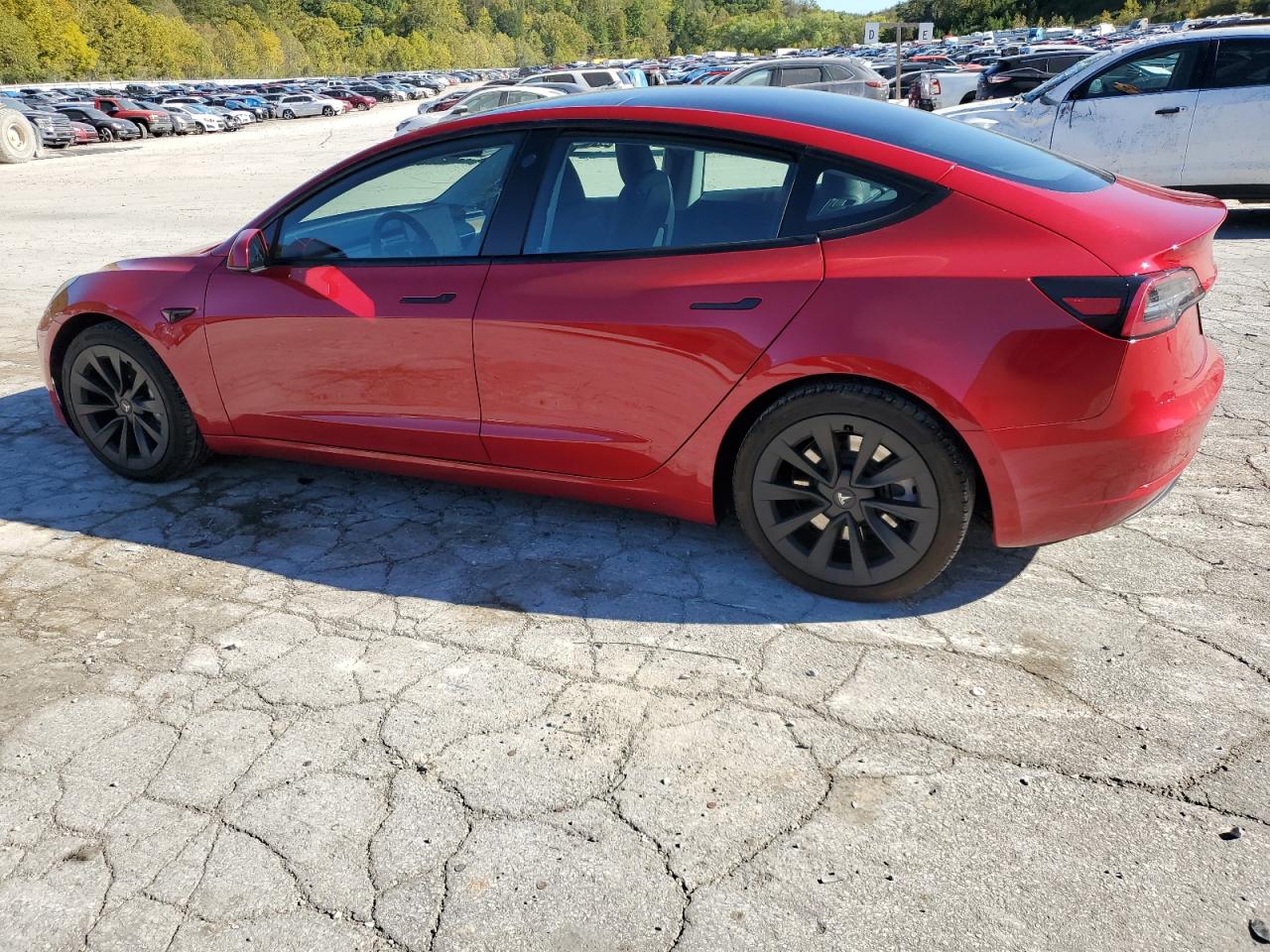 VIN 5YJ3E1EAXMF861389 2021 TESLA MODEL 3 no.2