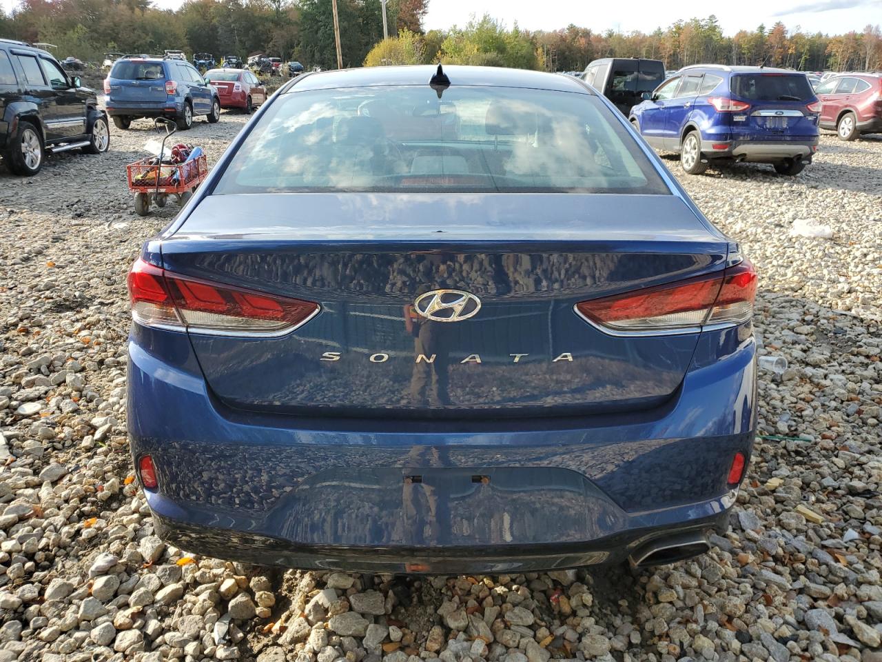 5NPE34AF3KH809599 2019 Hyundai Sonata Limited