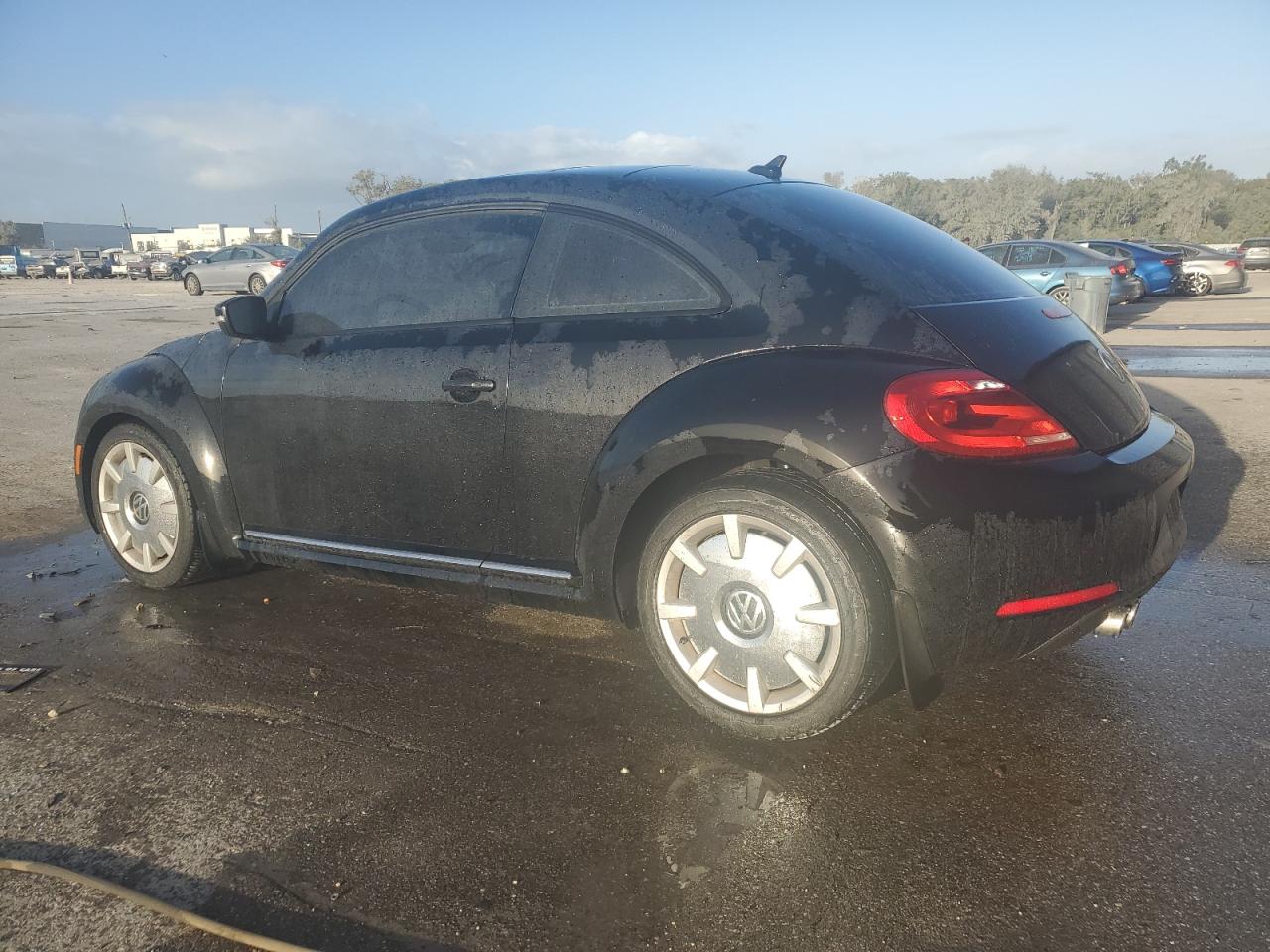 2013 Volkswagen Beetle VIN: 3VWJP7AT0DM665613 Lot: 78322324