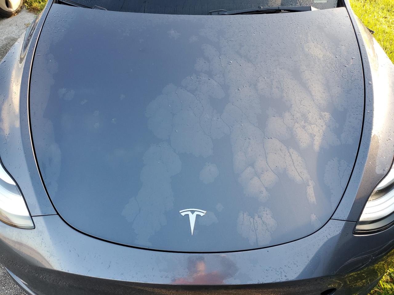 7SAYGAEE0PF591891 2023 Tesla Model Y