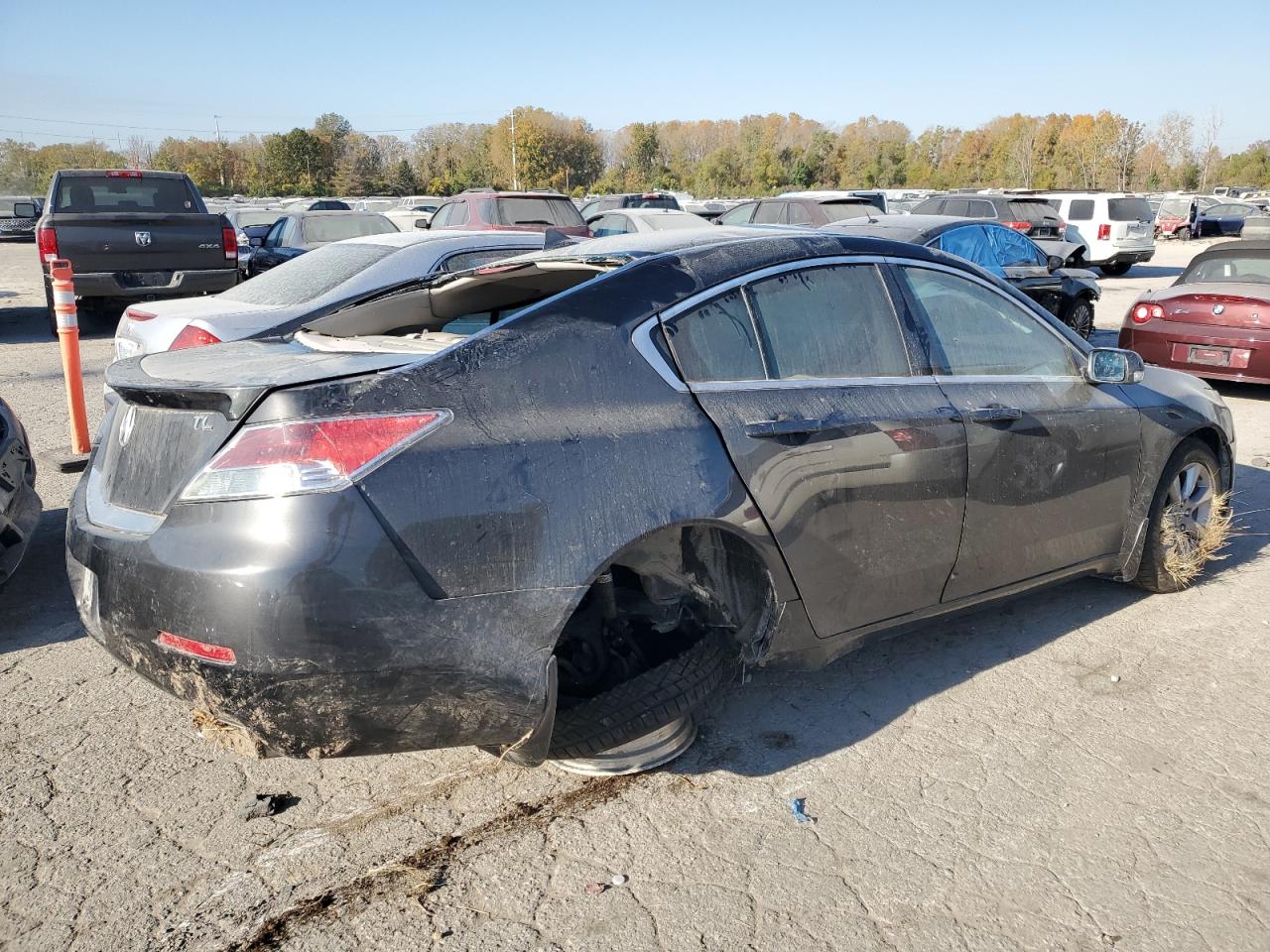 VIN 19UUA8F51DA008559 2013 ACURA TL no.3