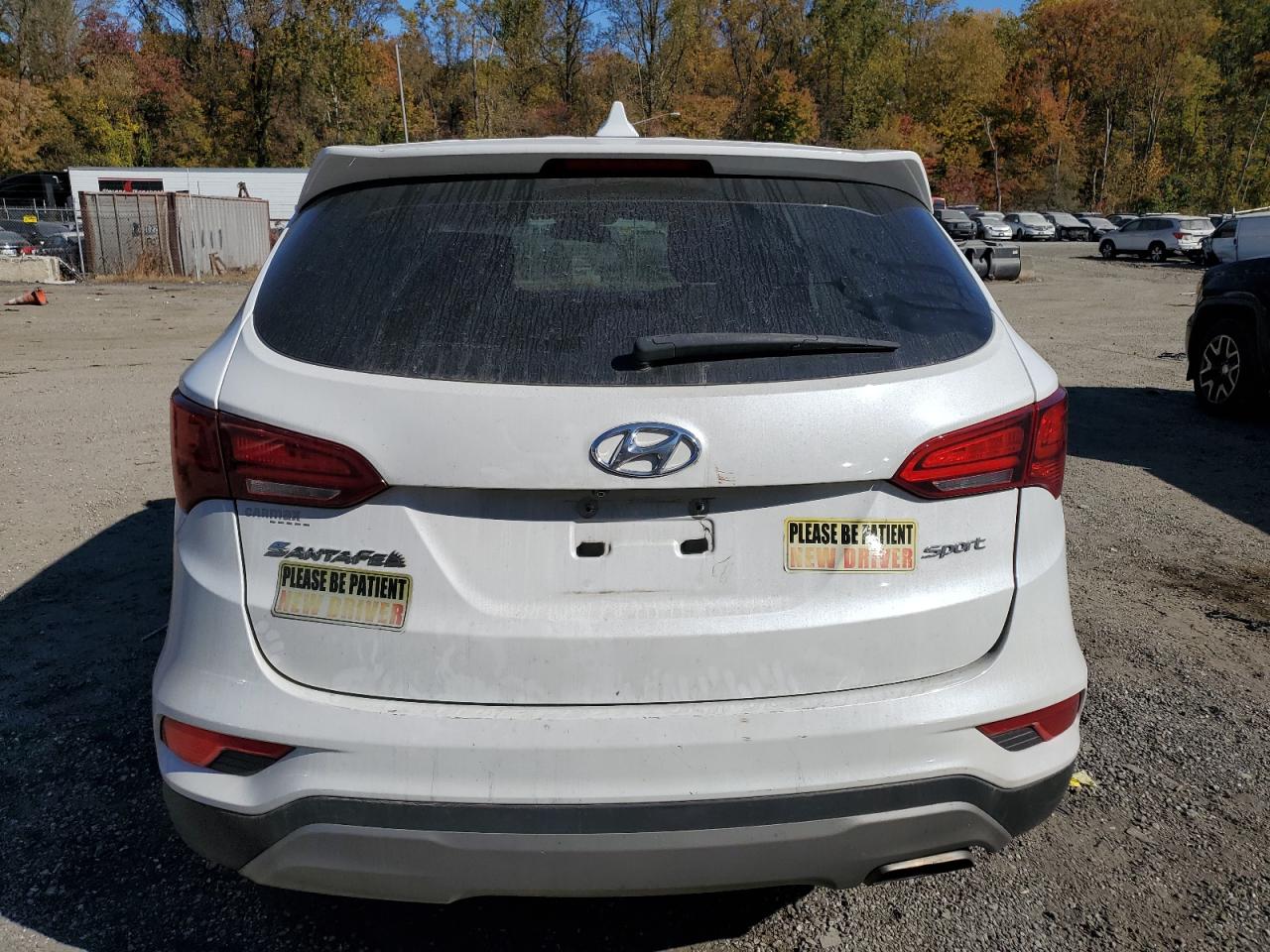 2017 Hyundai Santa Fe Sport VIN: 5NMZT3LB9HH035631 Lot: 77156784