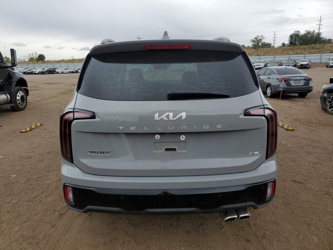 2024 Kia Telluride Ex VIN: 5XYP3DGC3RG469765 Lot: 76799324