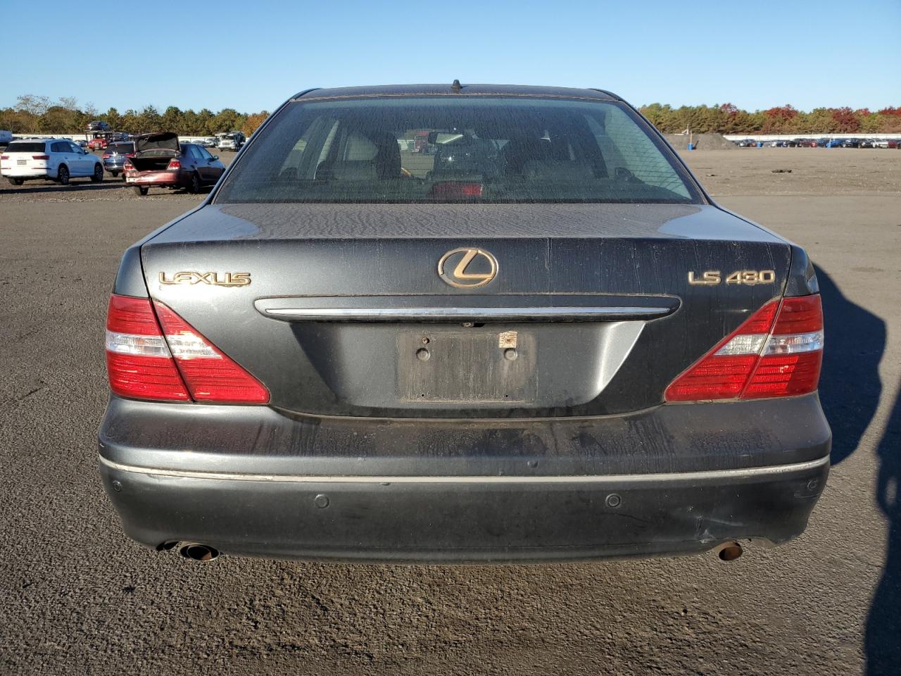 2005 Lexus Ls 430 VIN: JTHBN36F755006118 Lot: 77780394