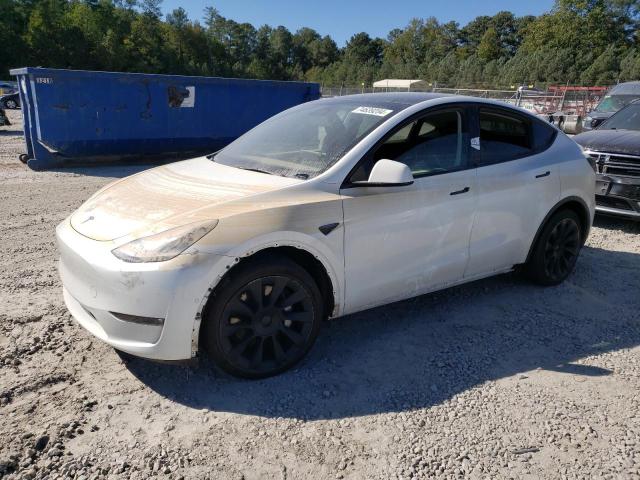 5YJYGDEE6MF302085 Tesla Model Y 