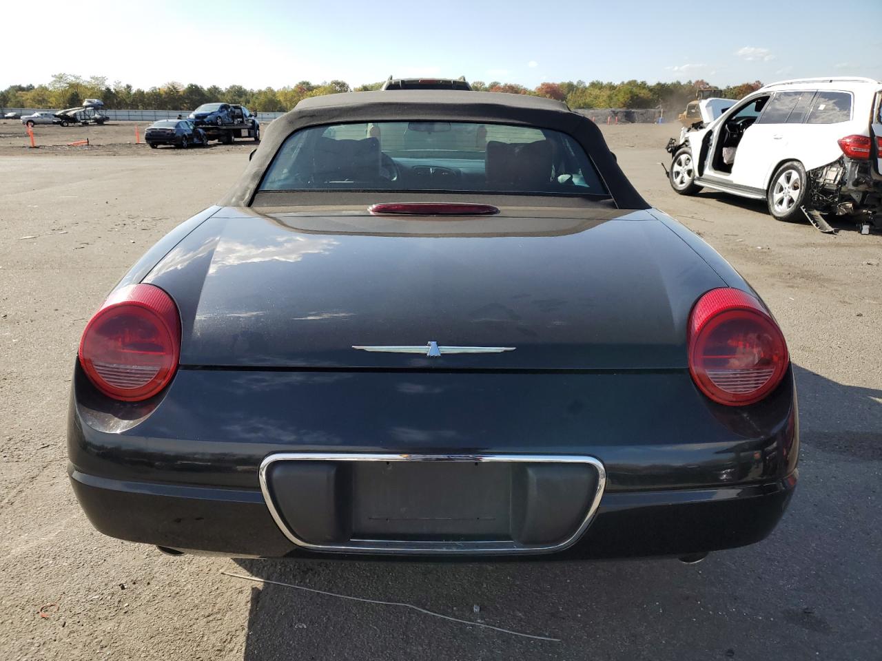 2003 Ford Thunderbird VIN: 1FAHP60A63Y104093 Lot: 76028744