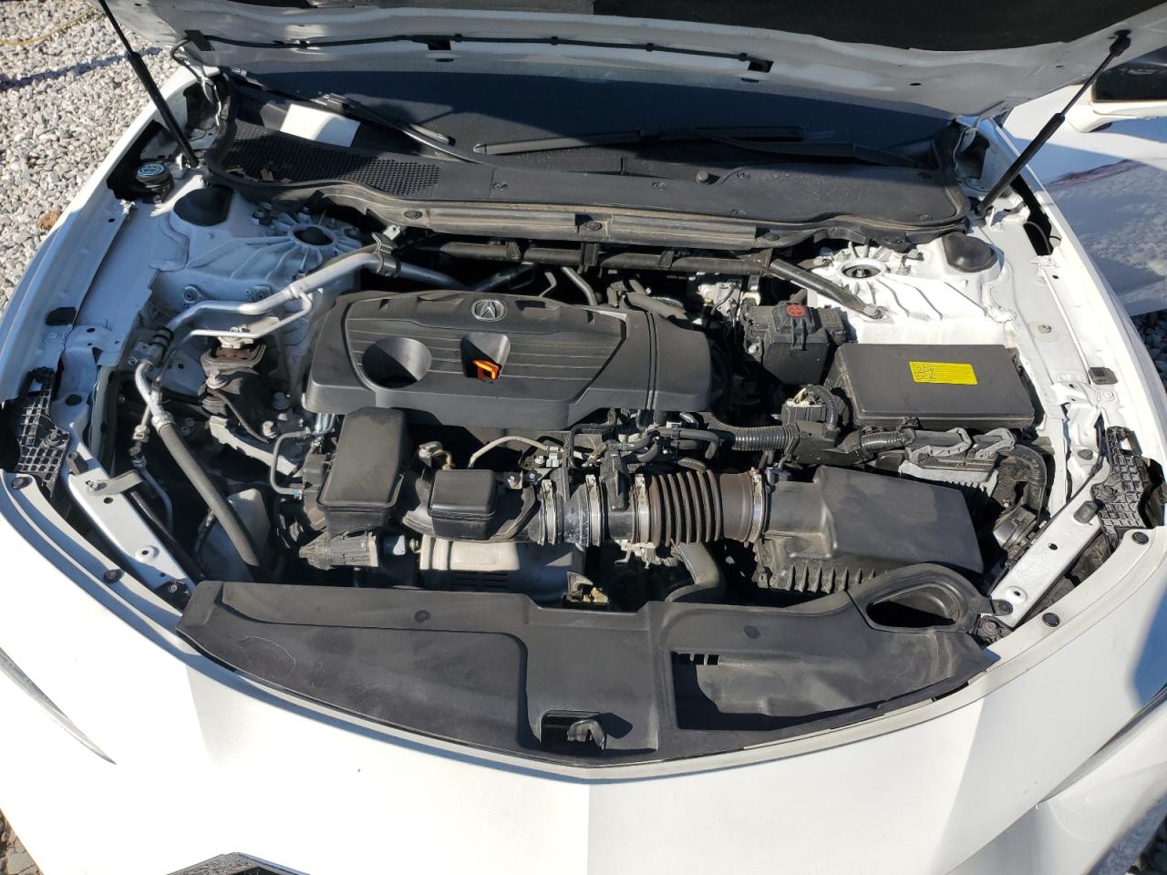 2023 Acura Tlx Technology VIN: 19UUB5F49PA001866 Lot: 75392944