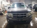 2011 Ford Escape Xlt zu verkaufen in Elgin, IL - Side