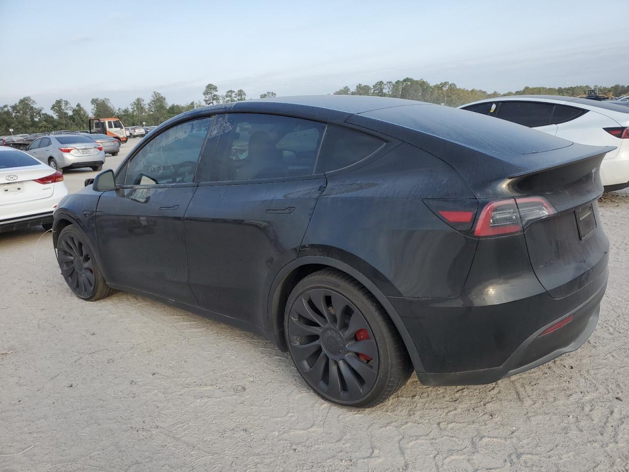 2023 Tesla Model Y VIN: 7SAYGDEF7PF884262 Lot: 74625364