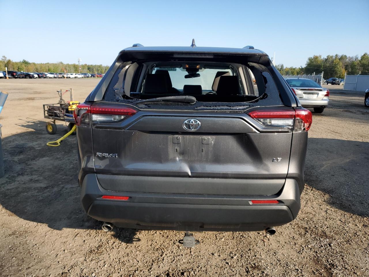 2019 Toyota Rav4 Le VIN: 2T3Z1RFV9KW015994 Lot: 74384844