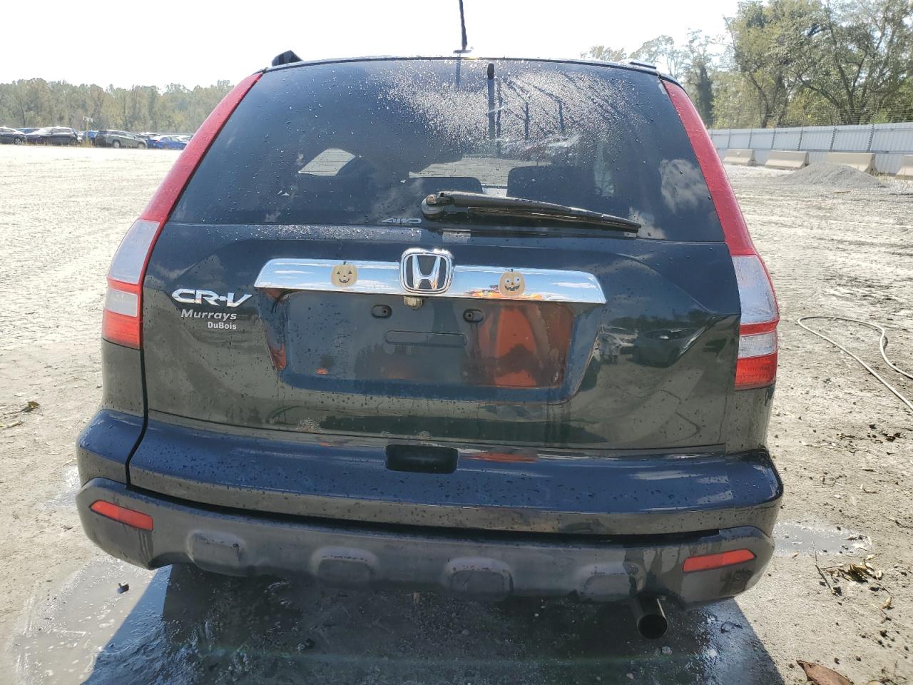 2007 Honda Cr-V Exl VIN: JHLRE48727C035751 Lot: 75050904