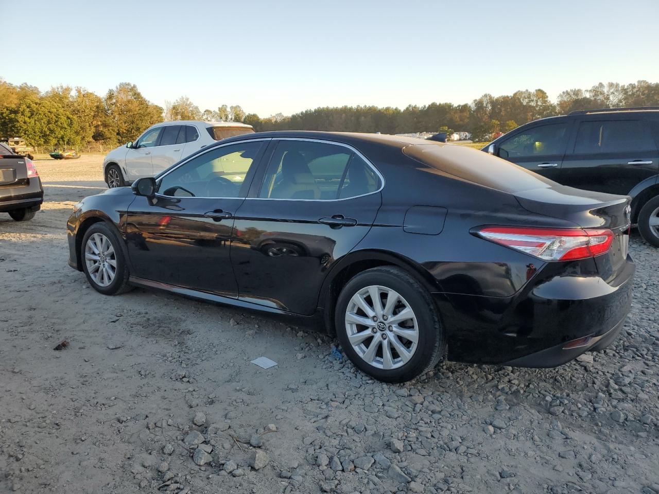 2019 Toyota Camry - Image 2