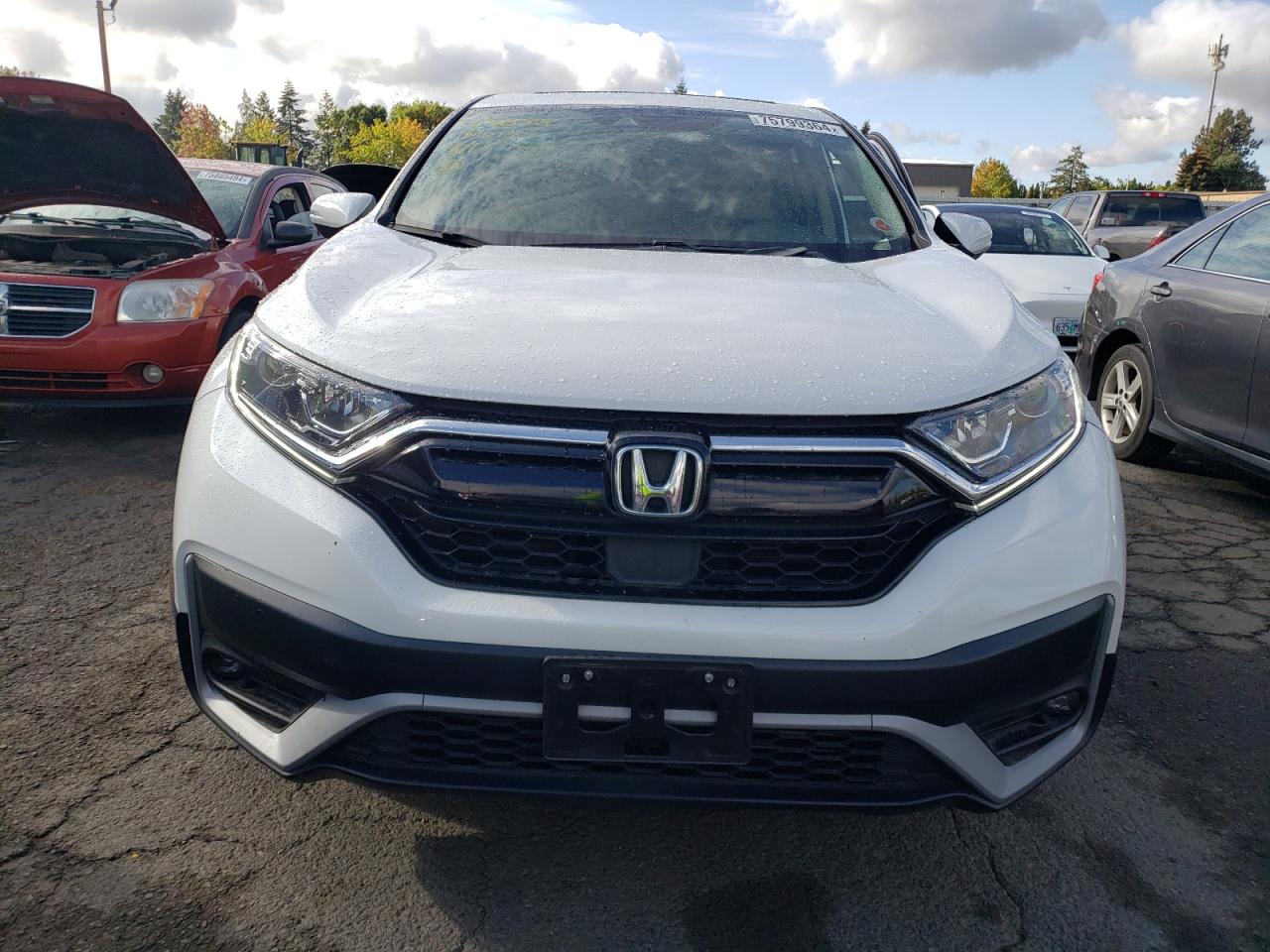 2020 Honda Cr-V Exl VIN: 5J6RW2H85LA019969 Lot: 75799364