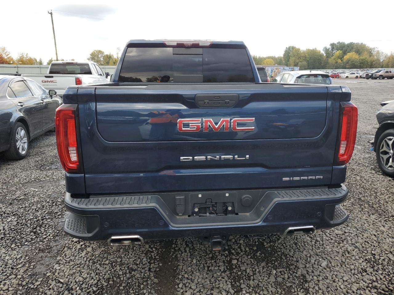 2020 GMC Sierra K1500 Denali VIN: 1GTU9FEL7LZ212293 Lot: 78238374