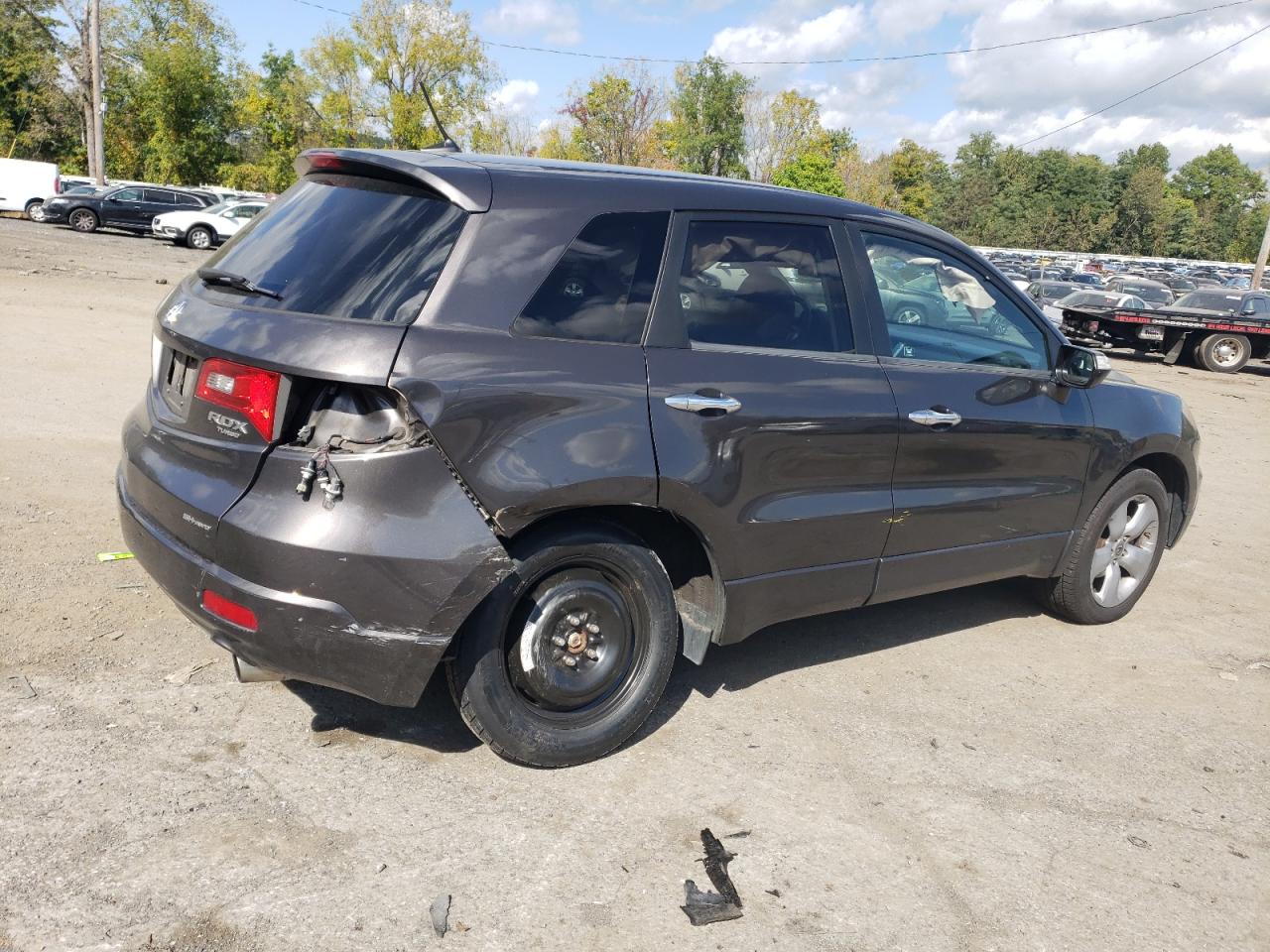 2009 Acura Rdx VIN: 5J8TB18249A008369 Lot: 74082294