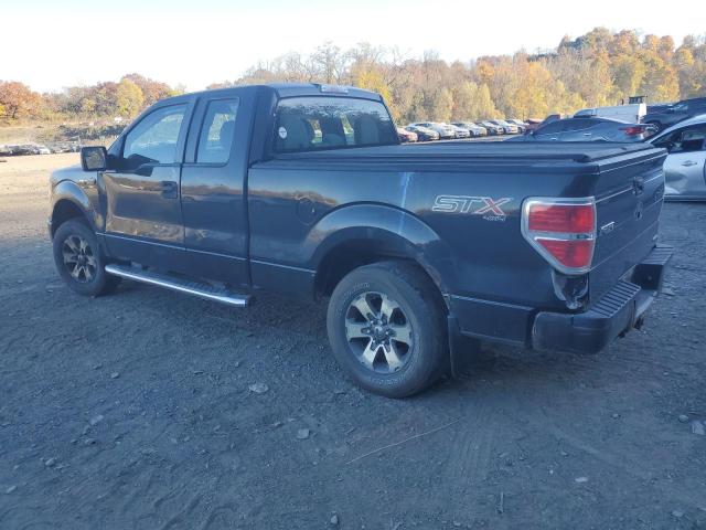  FORD F-150 2014 Black