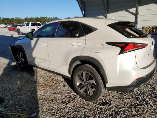  LEXUS NX 2019 Белый