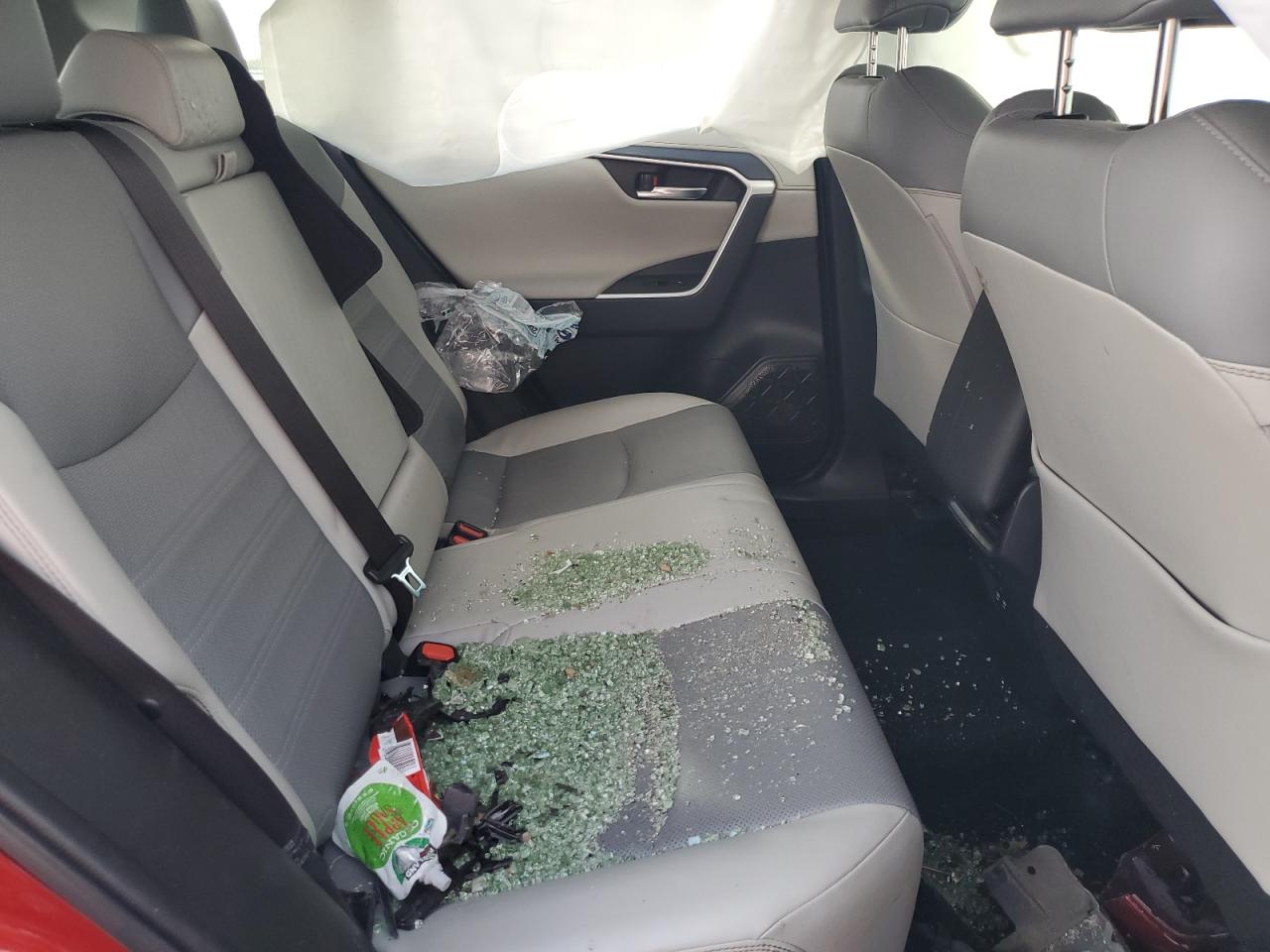 2019 Toyota RAV 4 - Image 12