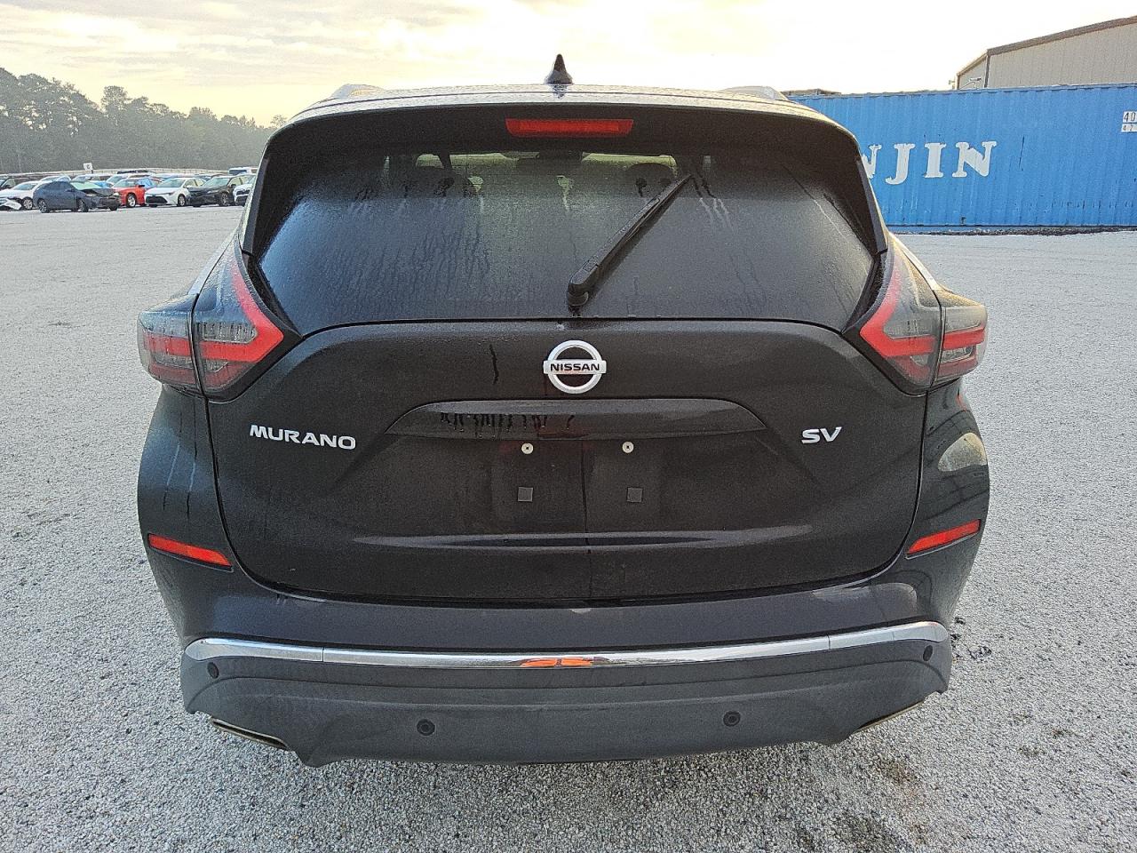 2020 Nissan Murano Sv VIN: 5N1AZ2BJ9LN112908 Lot: 74133694