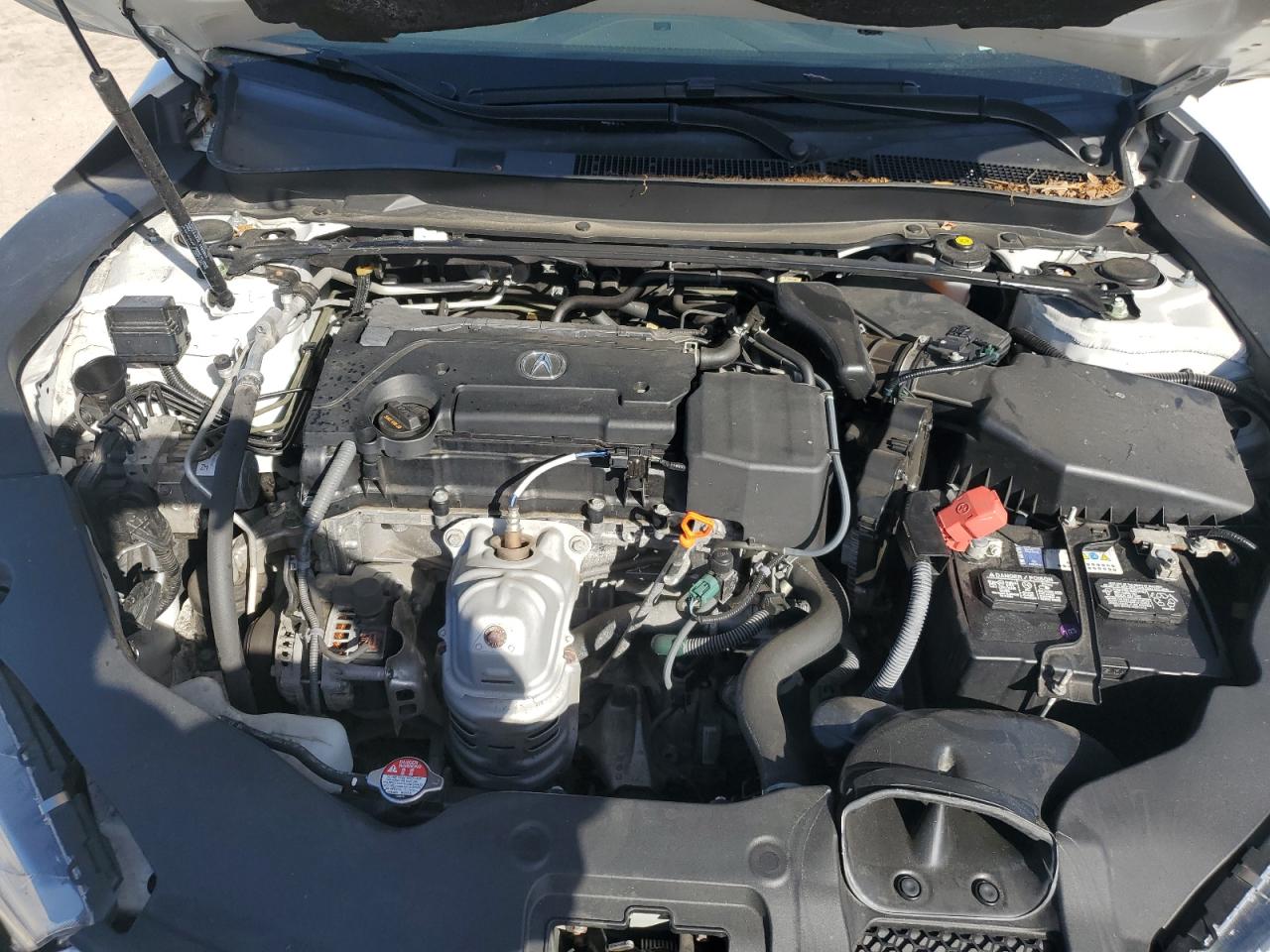 19UUB1F36LA016030 2020 Acura Tlx