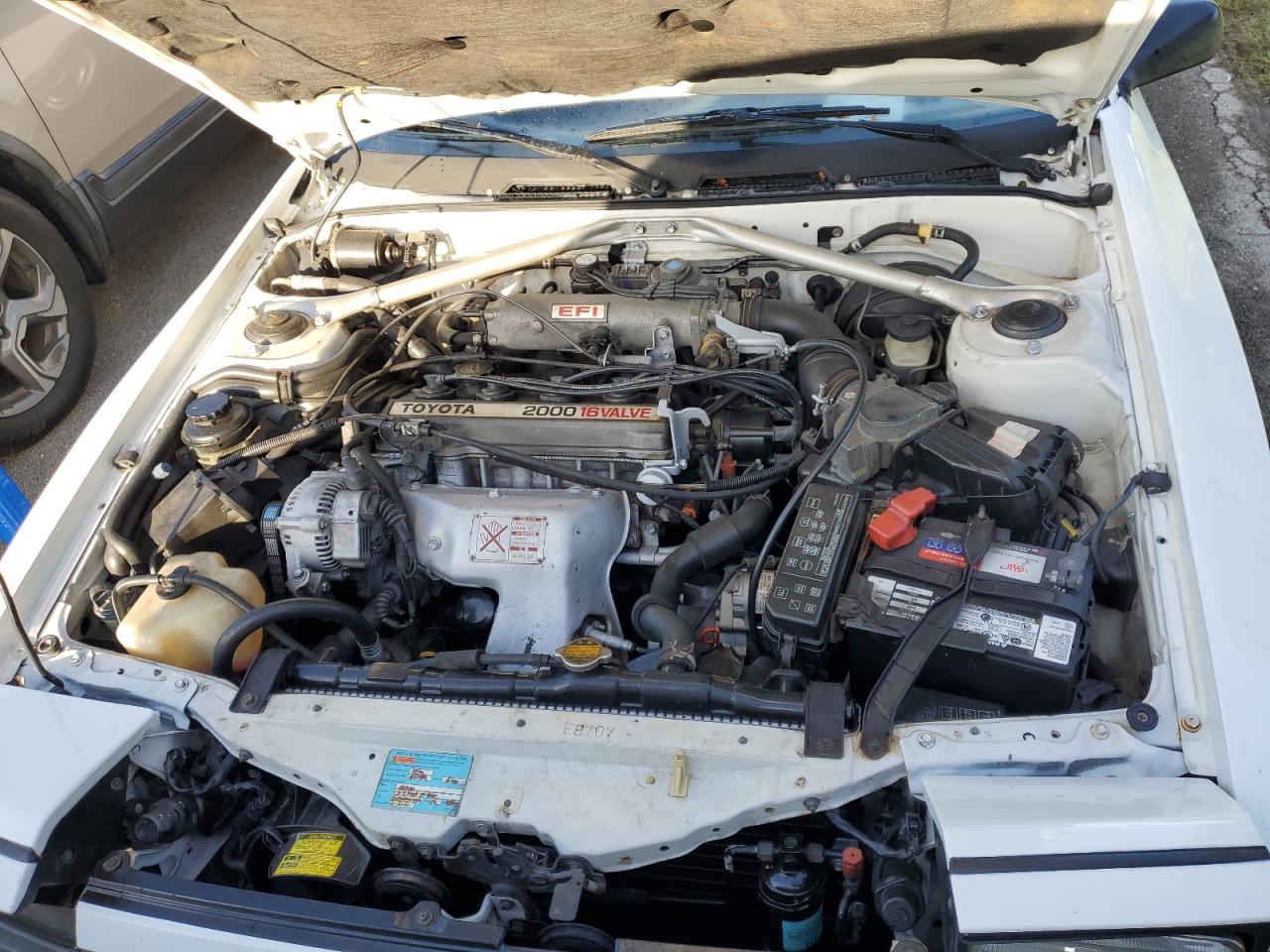 JT5ST62K8K7343548 1989 Toyota Celica Gt