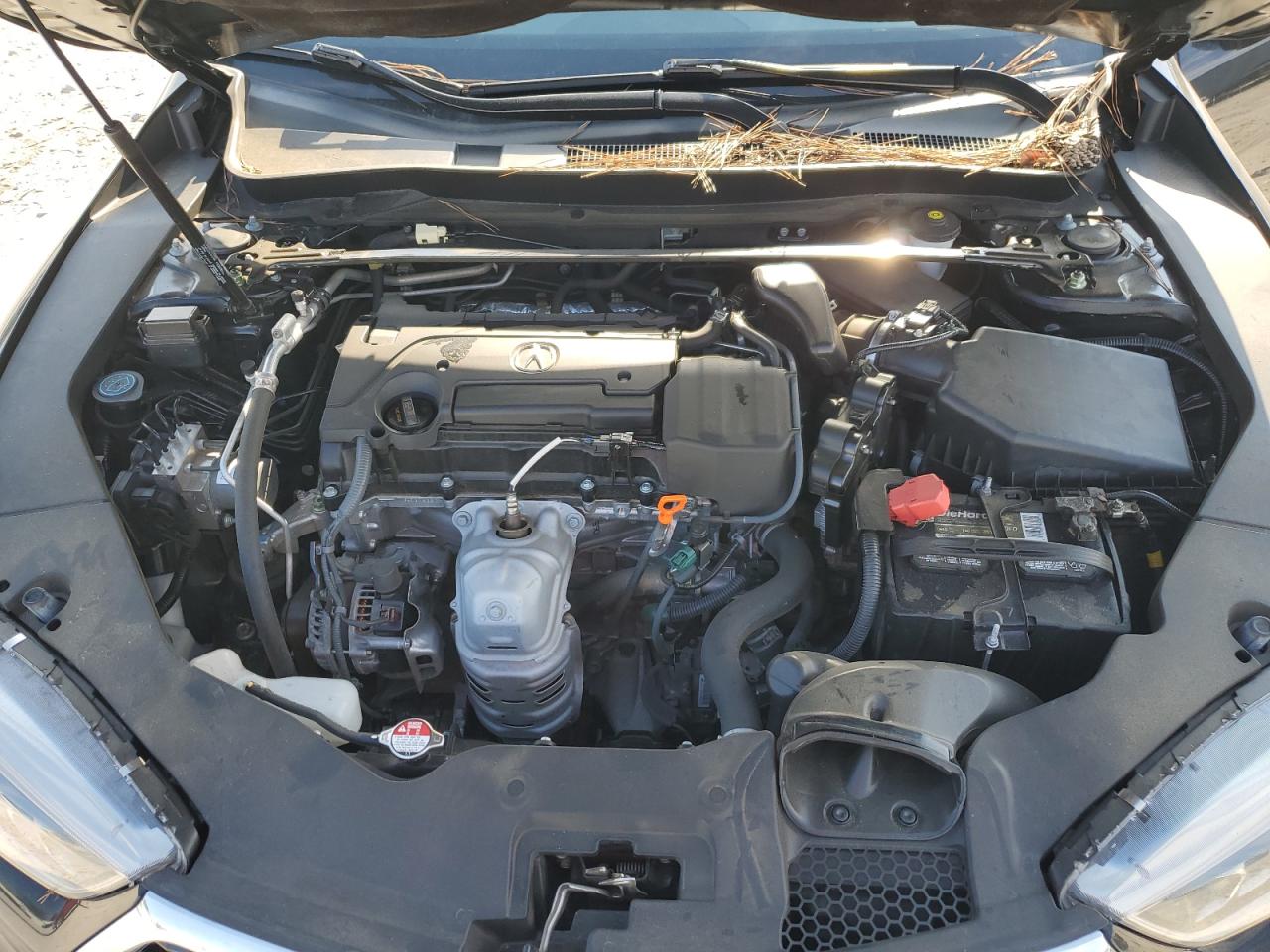 19UUB1F57JA003124 2018 Acura Tlx Tech