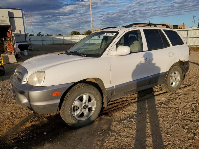 2005 Hyundai Santa Fe Gls