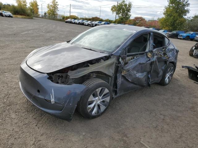  TESLA MODEL Y 2023 Серый