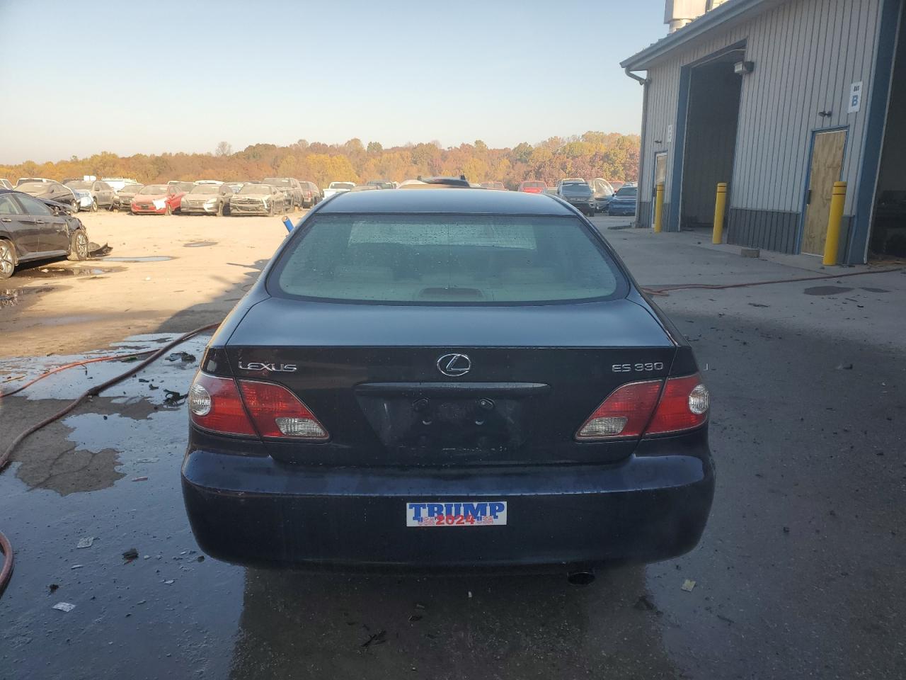 2004 Lexus Es 330 VIN: JTHBA30GX45048763 Lot: 77178374