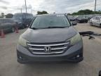 2013 Honda Cr-V Ex na sprzedaż w Miami, FL - Rear End