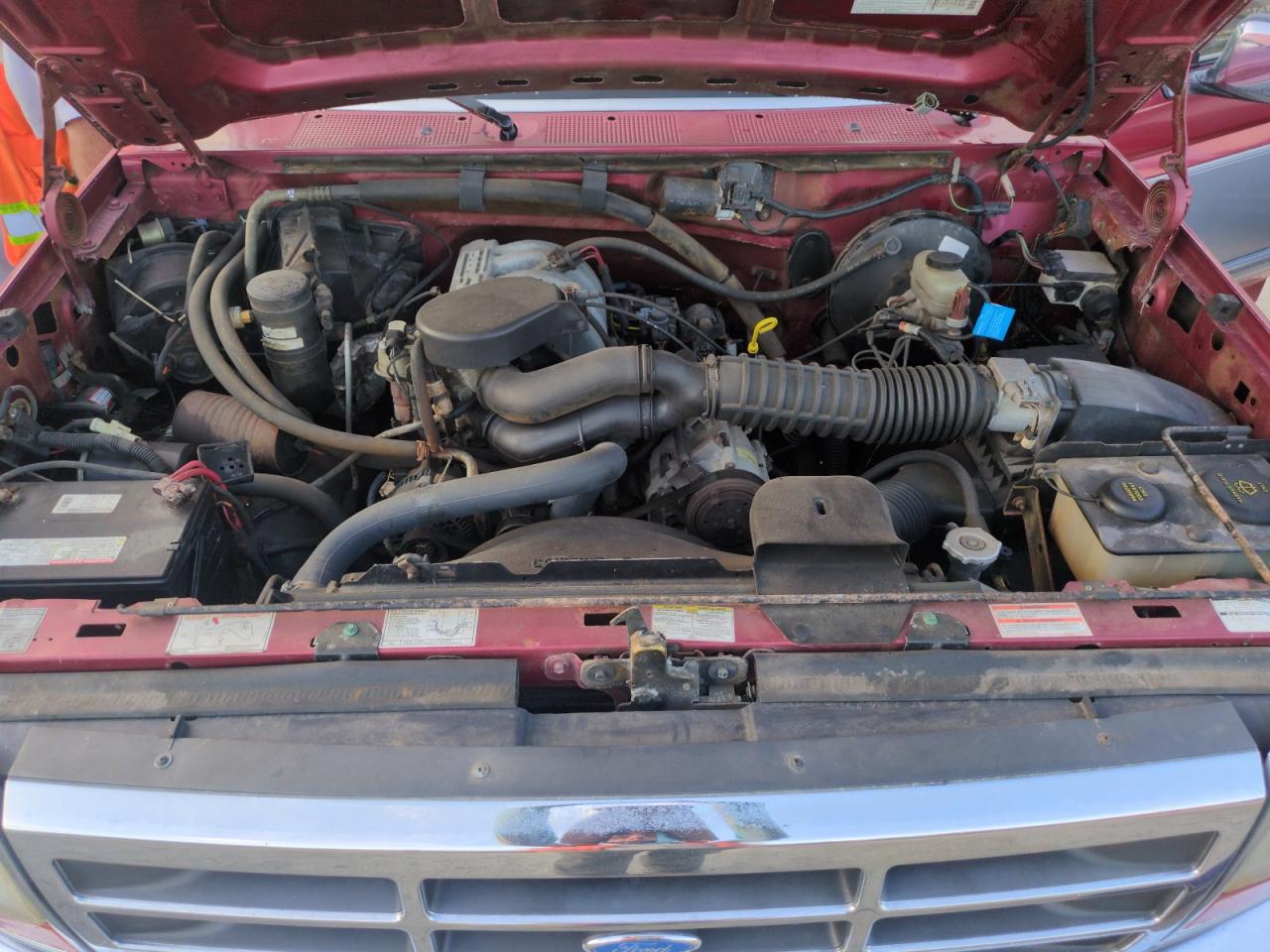 1994 Ford F150 VIN: 1FTEF15N8RNA84390 Lot: 75266914