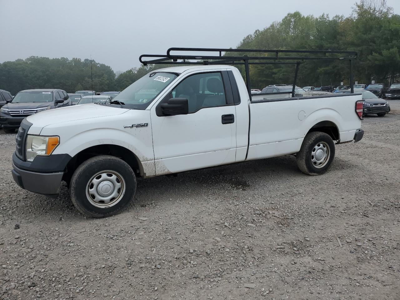2011 Ford F-150 - Image 1