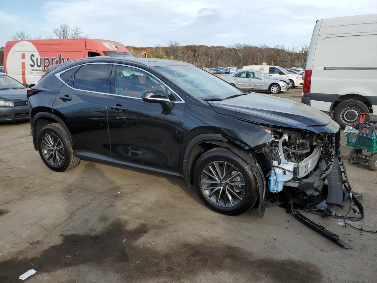 2024 Lexus NX - Image 4