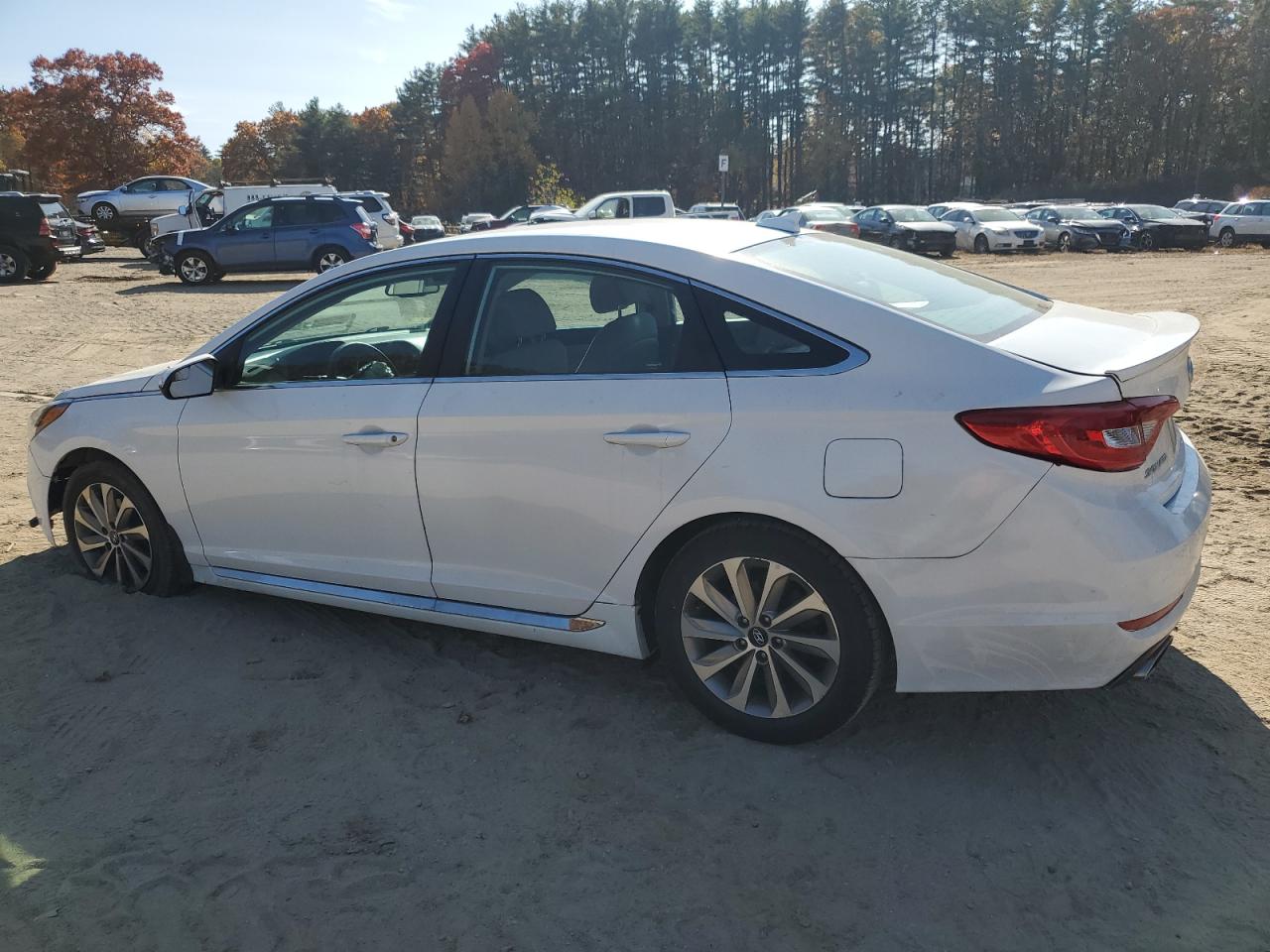 2016 Hyundai Sonata Sport VIN: 5NPE34AF9GH422613 Lot: 77518104