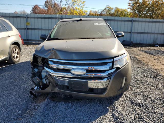 Паркетники FORD EDGE 2012 Золотой