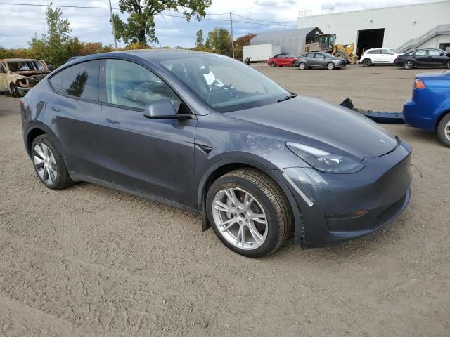  TESLA MODEL Y 2023 Серый