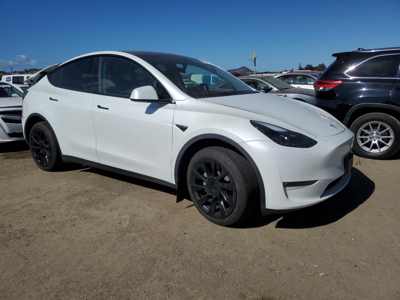 2022 Tesla Model Y VIN: 7SAYGDEE2NF544991 Lot: 76741364