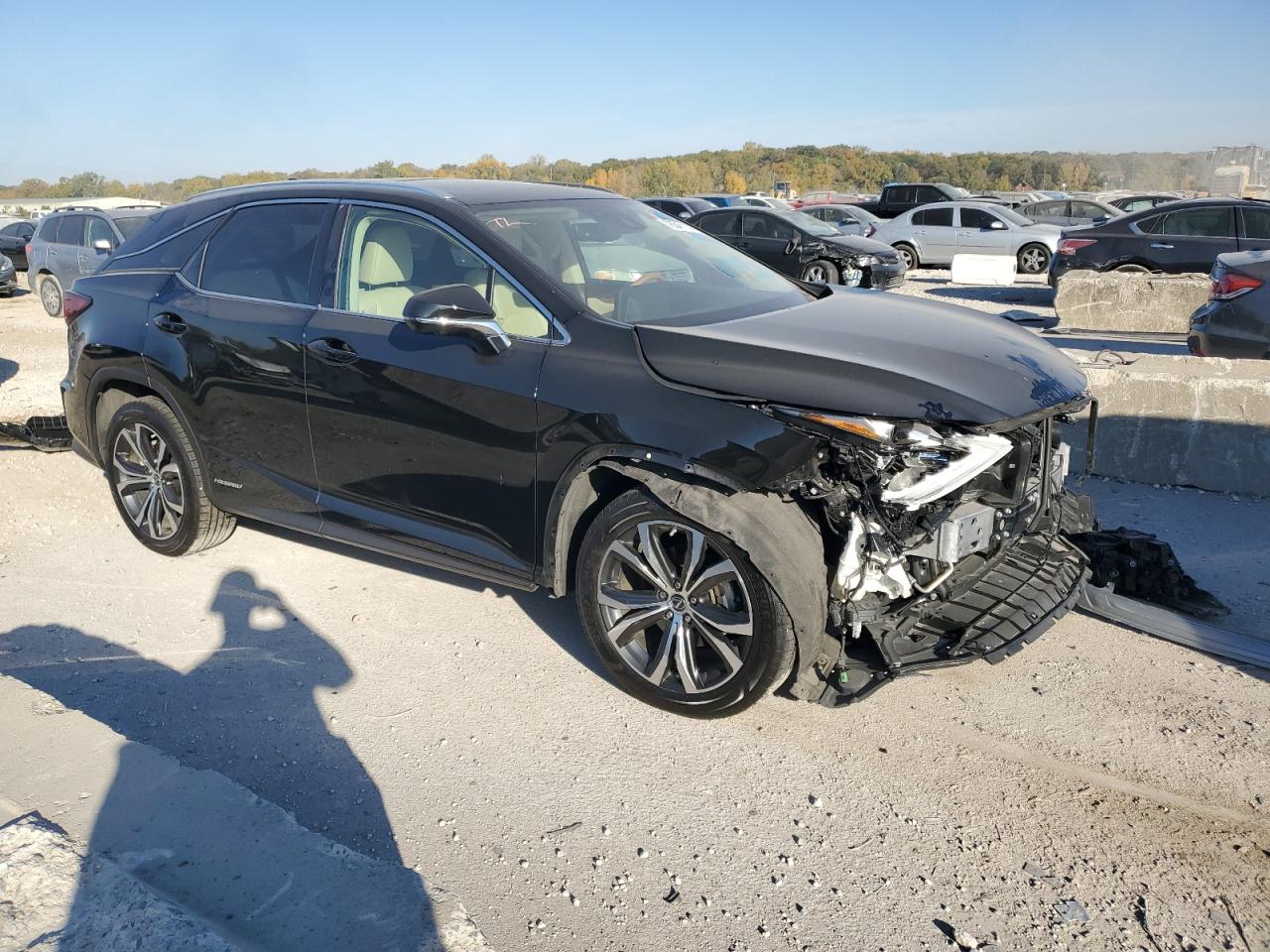 2021 Lexus RX - Image 4