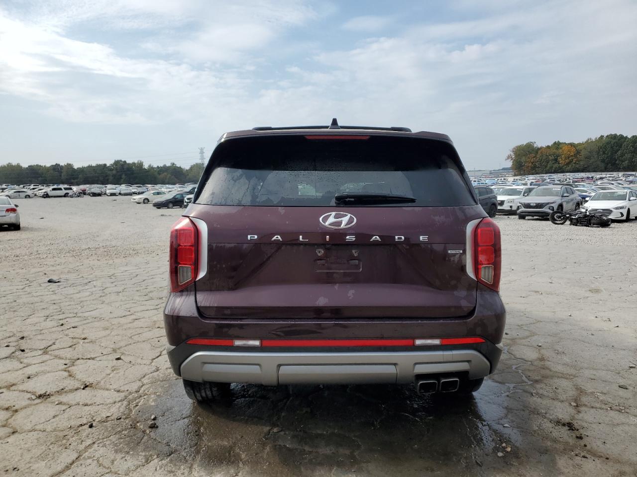 2023 Hyundai Palisade Limited VIN: KM8R5DGE9PU575276 Lot: 77699744