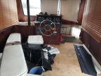 1977 Blue Boat for Sale in Avon, MN - Top/Roof