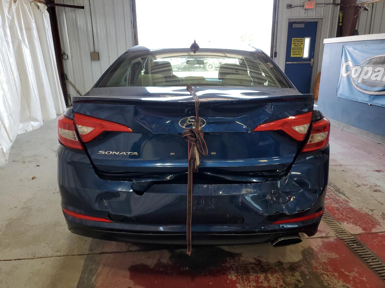 5NPE24AF7HH445361 2017 Hyundai Sonata Se