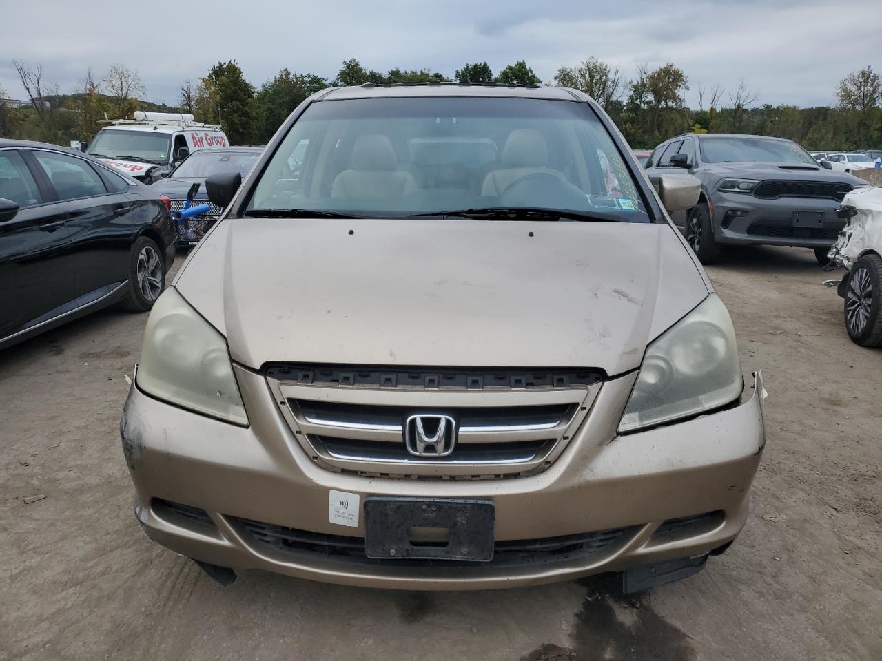 2007 Honda Odyssey Exl VIN: 5FNRL38767B401355 Lot: 74283464