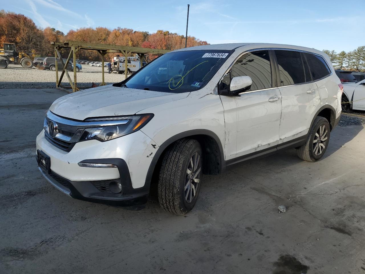 2019 Honda Pilot Ex VIN: 5FNYF6H33KB027894 Lot: 77967634